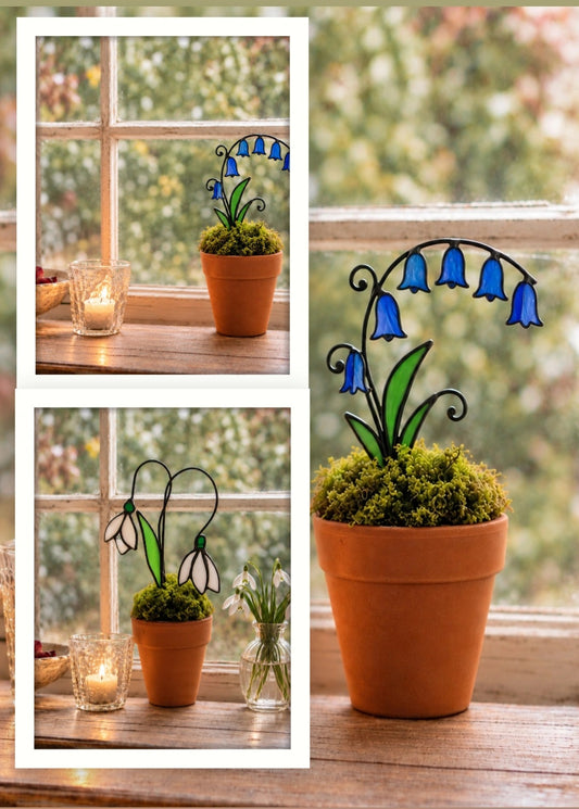 Snowdrops & Bluebells: Stained Glass Workshop 27th February