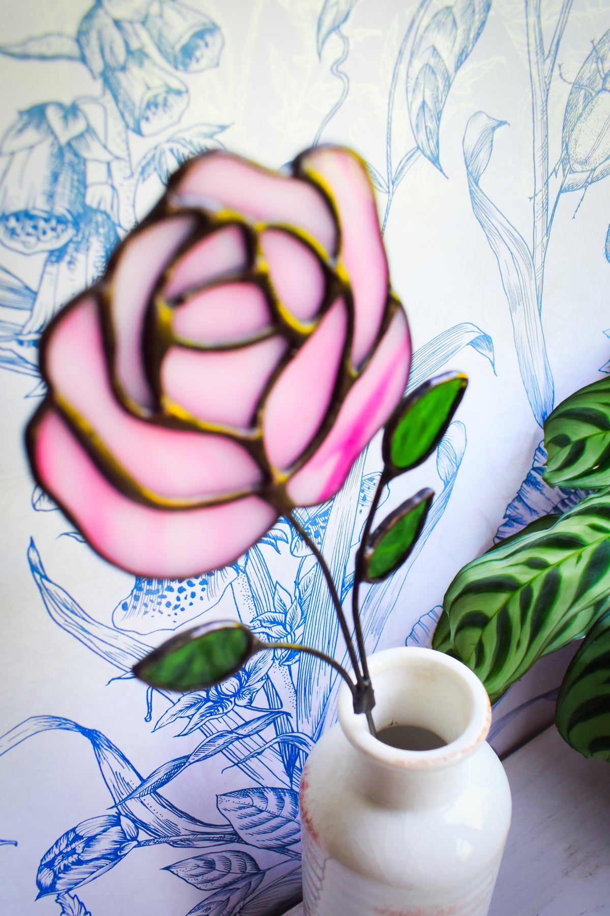 Pink Rose Flower Stem
