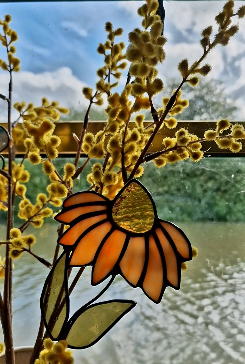 Rudbeckia Sahara Stained Glass Flowers