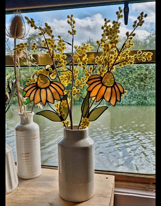 Rudbeckia Sahara Stained Glass Flowers