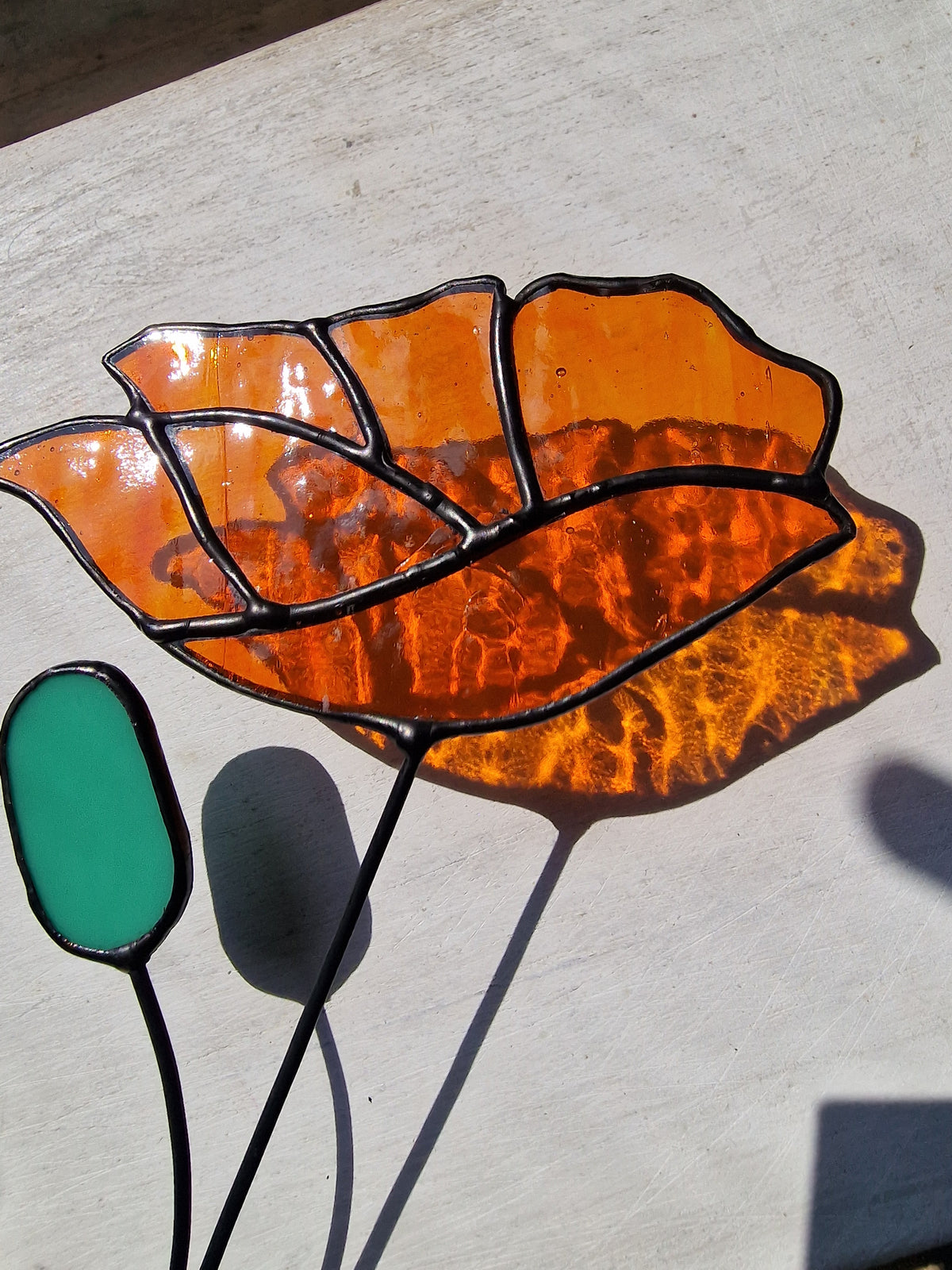 California Stained Glass Poppy