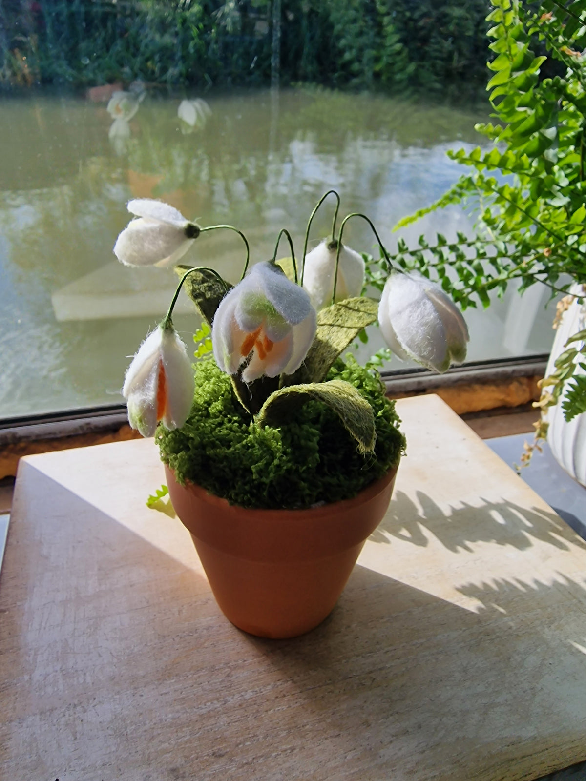 Felt Snowdrops in Terracotta Pot